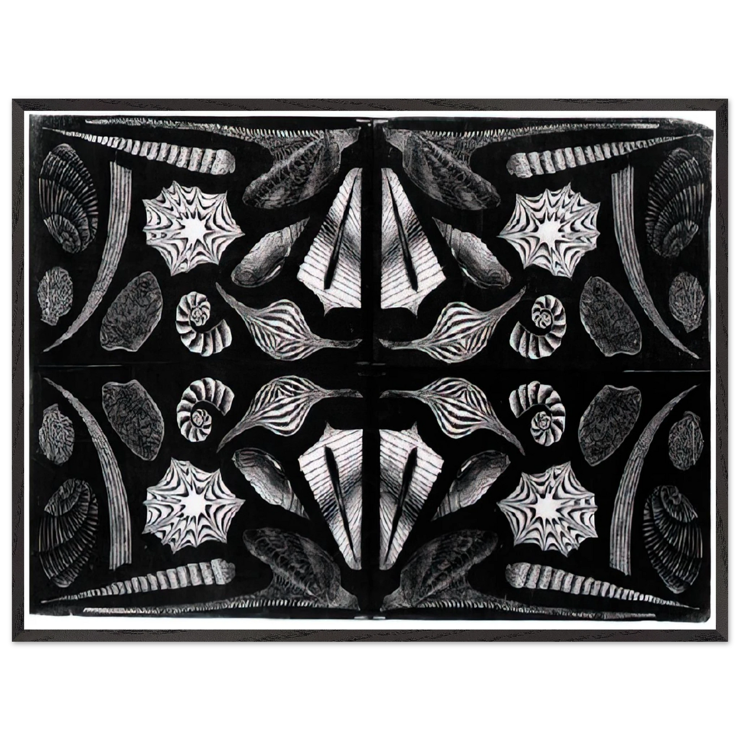 MC Escher - ESCHER (5) Wall Art - 60x80 cm / 24x32 inches - Fine Art Poster - -