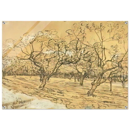 Orchard with Blossoming Plum Trees The White Orchard - Vincent van Gogh Acrylic Print - 70x100 cm / 28x40″ inches | Vincent van Gogh Wall Art | Vincent van Gogh Prints