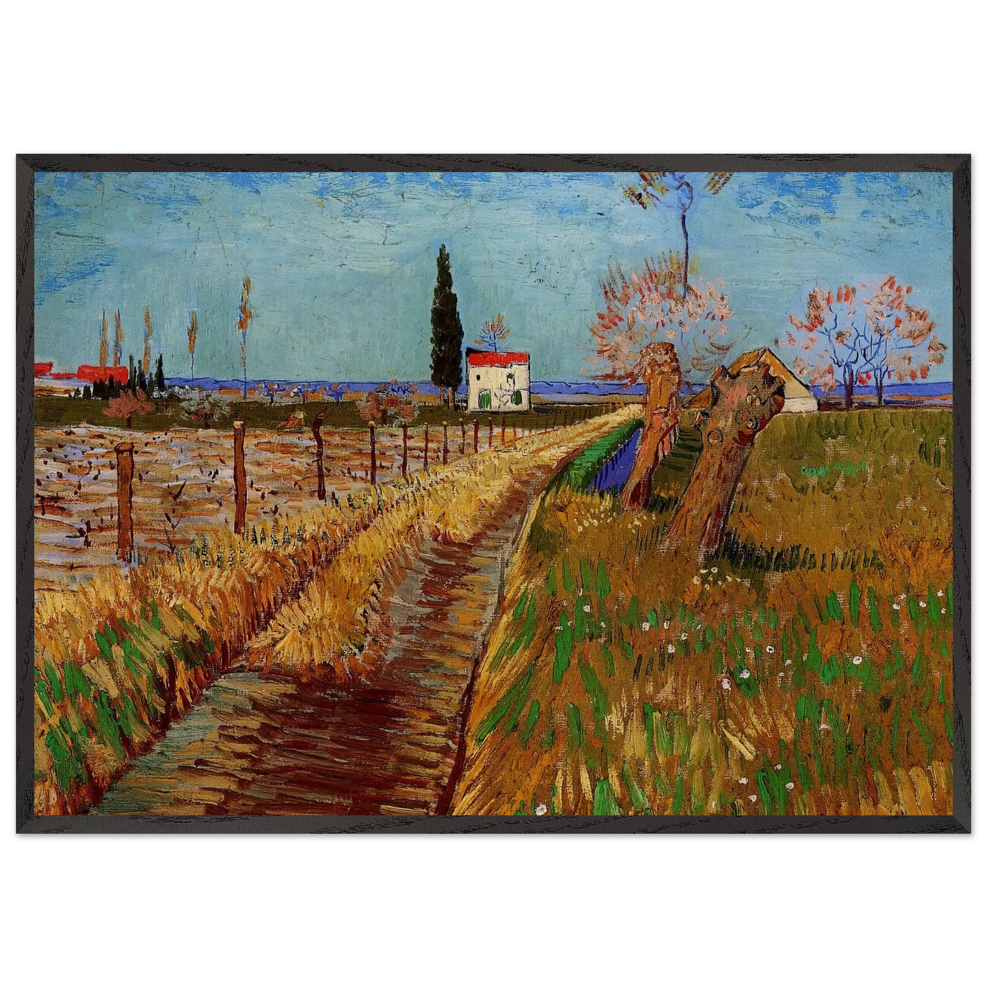 Path Through a Field with Willows - Vincent van Gogh Framed Art Print – Black Wooden Frame - Default Title - -Framed Art Print