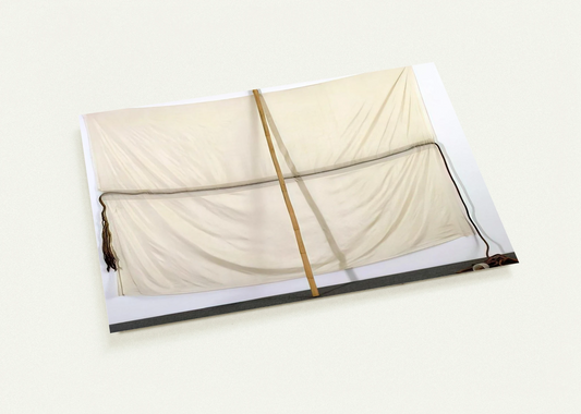 EMBARGO JAMMER 1976 By Robert Rauschenberg Pack of 10 Post Cards | Robert Rauschenberg Post Cards | A6 (10.5 x 14.8 cm) - 4.1 x 5.8 inches