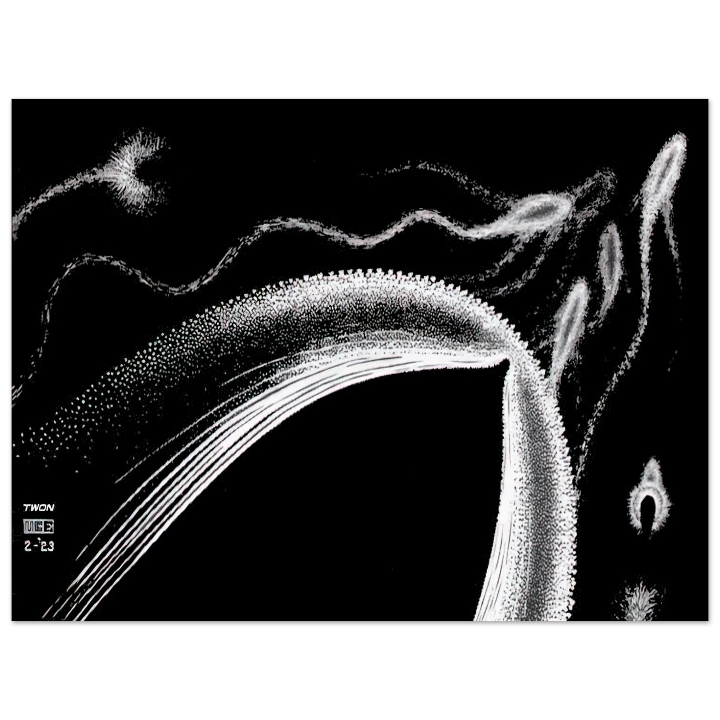 MC Escher - DOLPHINS Wall Art - 21x29.7 cm / 8x12" - Premium Wooden Framed Poster With Fine Art Paper - Wood frame