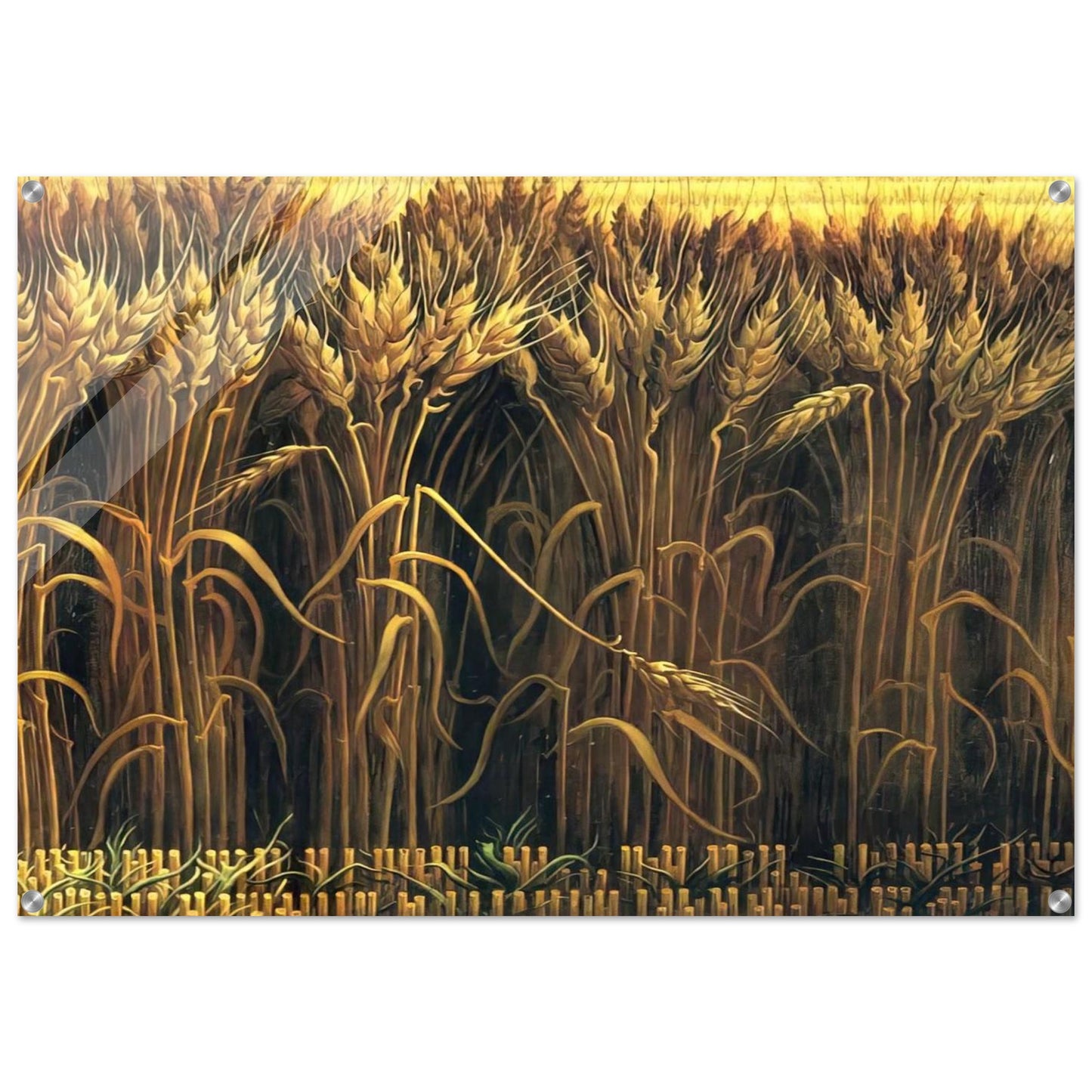 f91365d1-e0f8-459a-b44e-c88dcb9de9ad