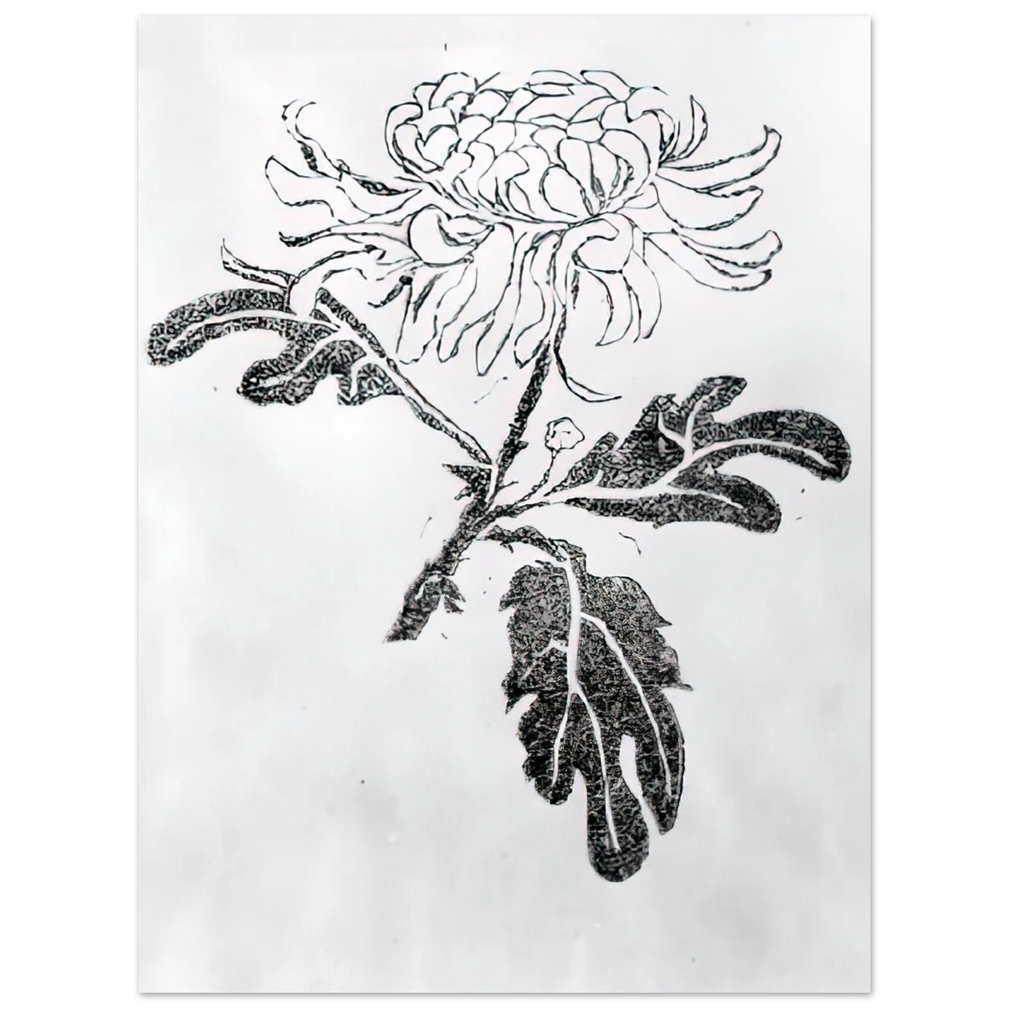 MC Escher - CHRYSANTHEMUM Wall Art - 60x80 cm / 24x32 inches - Fine Art Poster - -