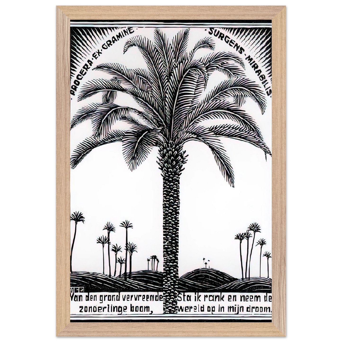 MC Escher - PALM TREE 1 Wall Art - 60x80 cm / 24x32 inches - Premium Wooden Framed Poster With Fine Art Paper - Wood frame