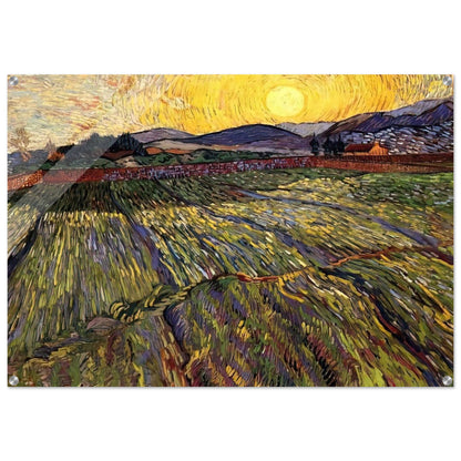 Wheat Field with Rising Sun - Vincent van Gogh Acrylic Print - 70x100 cm / 28x40″ inches | Vincent van Gogh Wall Art | Vincent van Gogh Prints