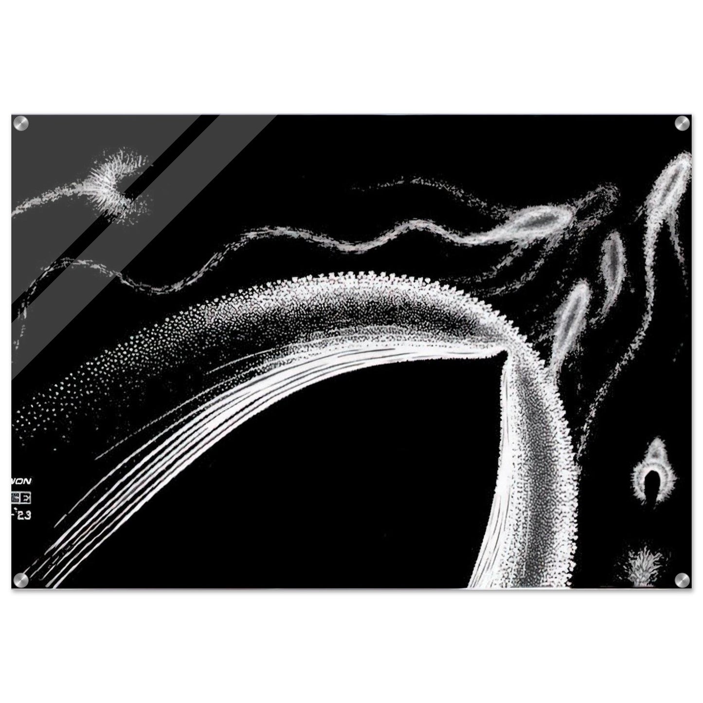 DOLPHINS - MC Escher Acrylic Print - 70x100 cm / 28x40″ inches | MC Escher Wall Art | MC Escher Prints