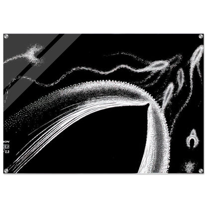 DOLPHINS - MC Escher Acrylic Print - 70x100 cm / 28x40″ inches | MC Escher Wall Art | MC Escher Prints