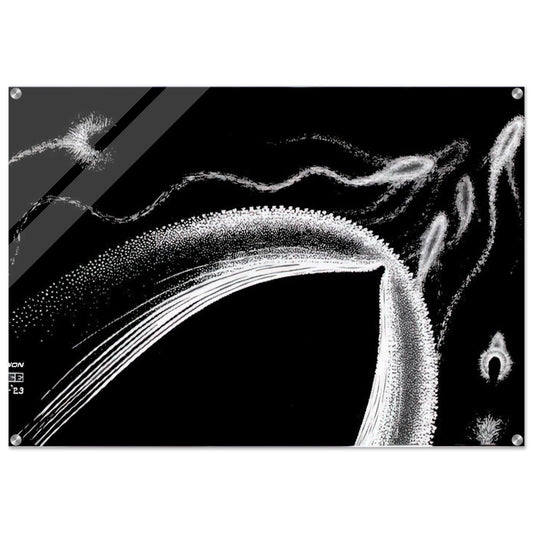 DOLPHINS - MC Escher Acrylic Print - 70x100 cm / 28x40″ inches | MC Escher Wall Art | MC Escher Prints