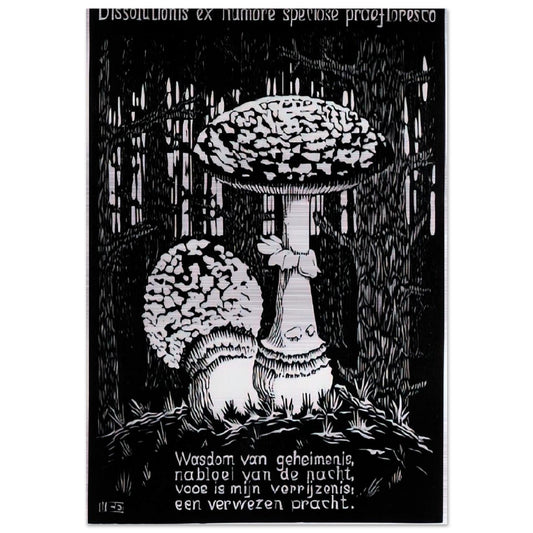 fbd19bf7-d05e-408d-aa89-92716a8dd14e