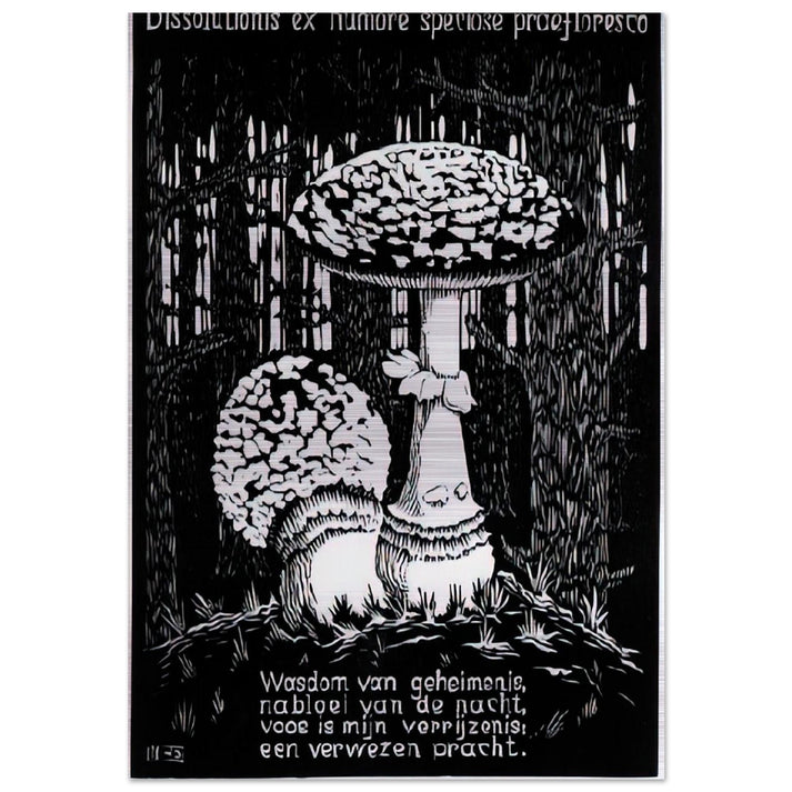 EMBLEMATA TOADSTOOL - MC Escher Brushed Aluminum Print - 70x100 cm / 28x40 inches | MC Escher Aluminum Print | MC Escher Prints