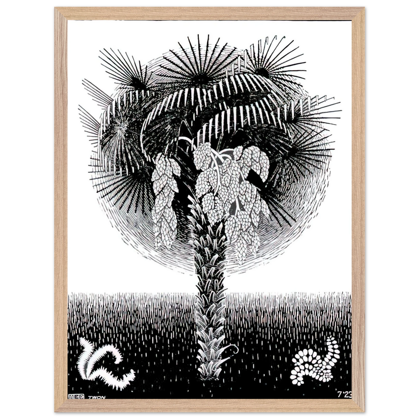 MC Escher - PALM TREE Wall Art - 60x80 cm / 24x32 inches - Premium Wooden Framed Poster With Fine Art Paper - Black frame