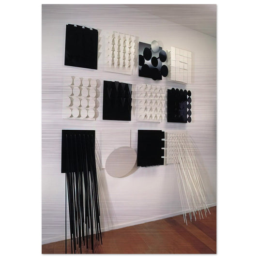 Amazonia Black and white - Neo-Concretism - Lygia Pape Brushed Aluminum Print - 70x100 cm / 28x40 inches | Lygia Pape Aluminum Print | Lygia Pape Prints