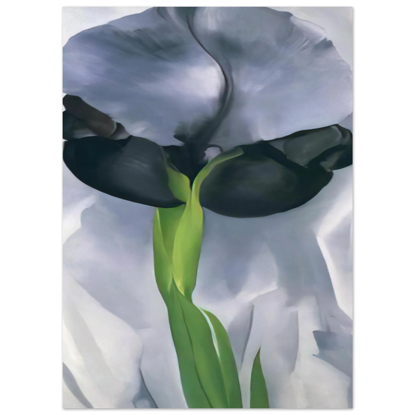 Georgia O'Keeffe - Iris 7 Fine Art Poster - 40x60 cm / 16x24 inches