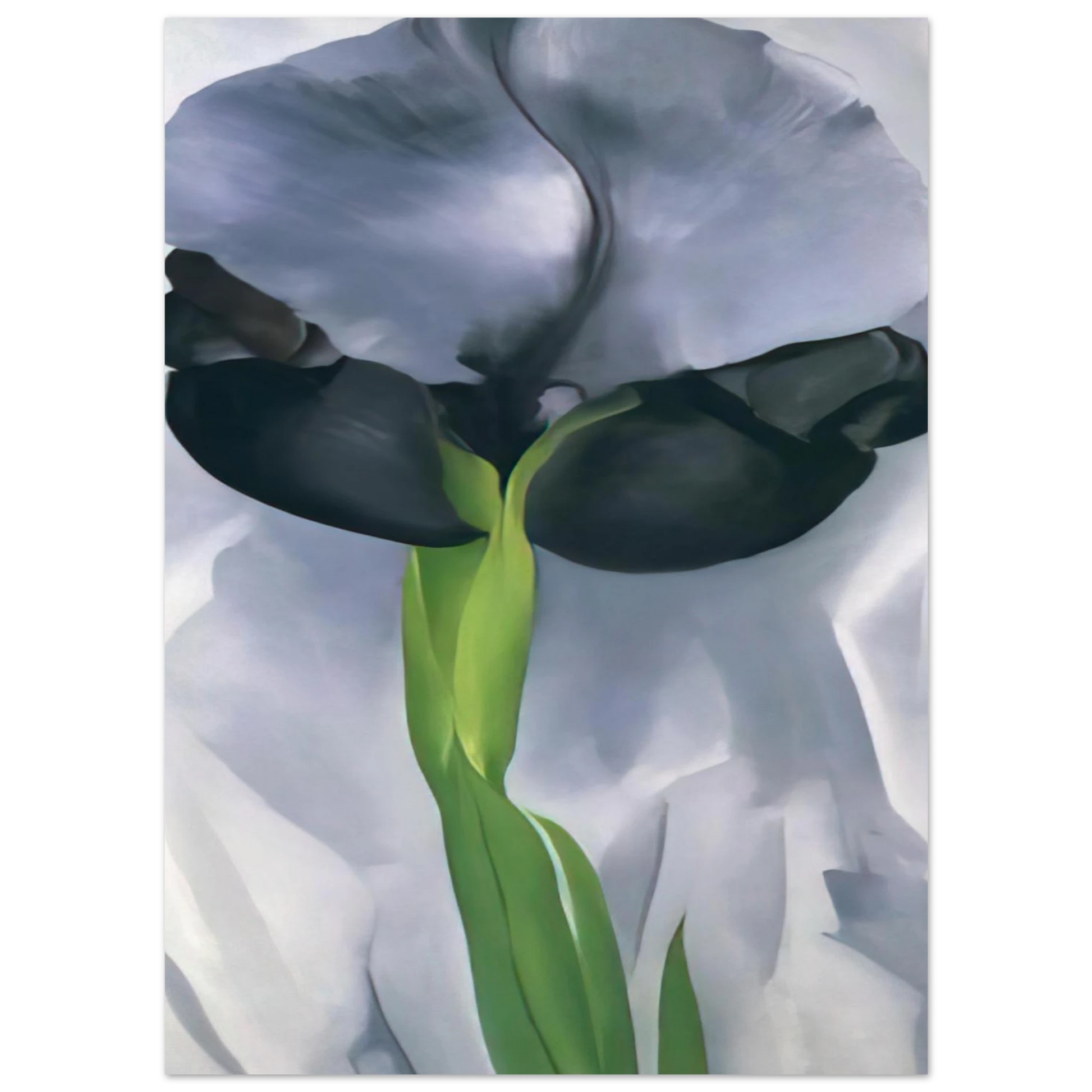 Georgia O'Keeffe - Iris 7 Fine Art Poster - 40x60 cm / 16x24 inches