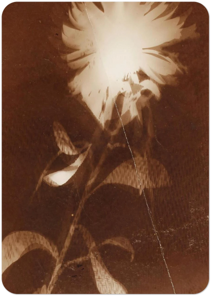 fdd6c93e-3ca0-4be0-8246-ec87b50ed8ff