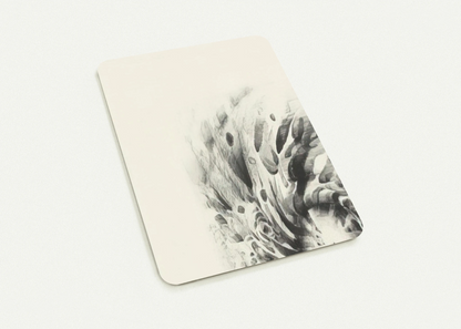 fe569505-3587-4801-b108-20cf829c5ec3