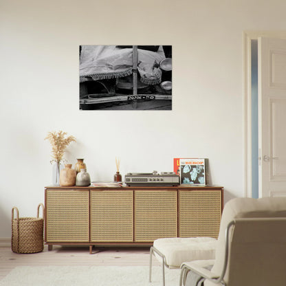 ff91334b-efbf-475a-80d3-5e3ad9702681