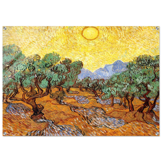 Olive Trees with Yellow Sky and Sun - Vincent van Gogh Acrylic Print - 70x100 cm / 28x40″ inches