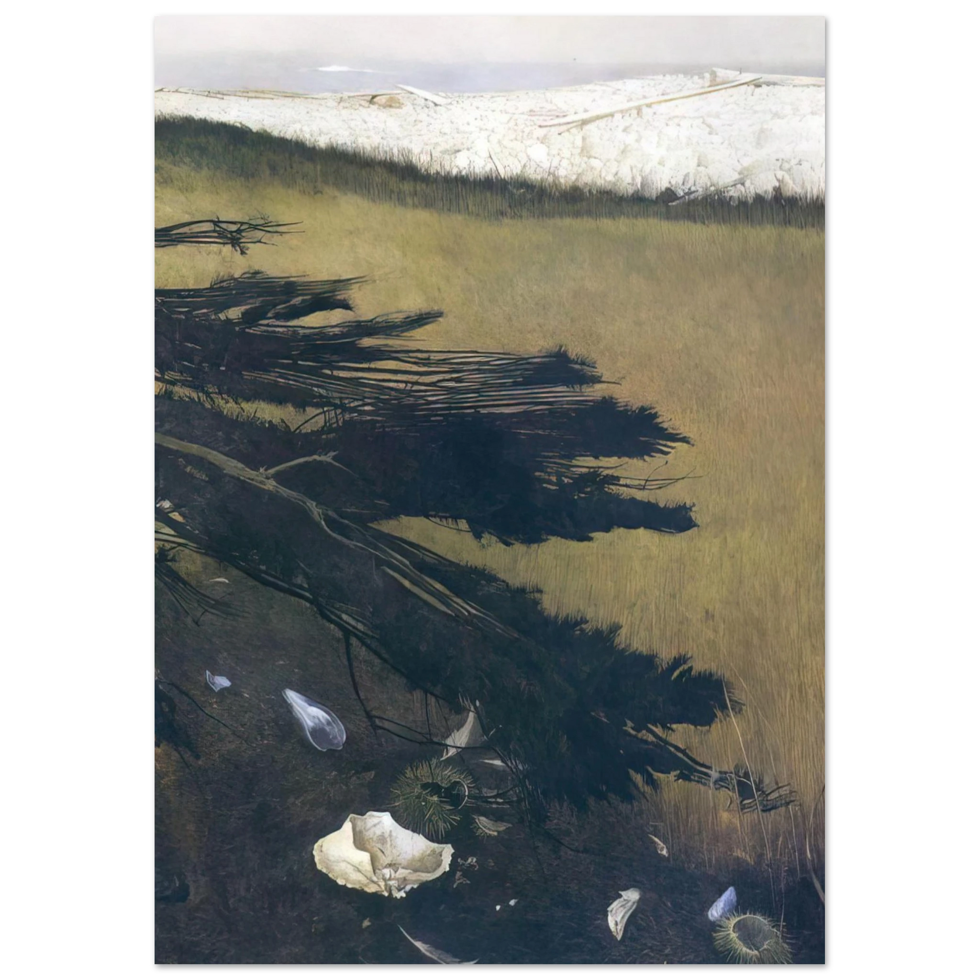 Andrew Wyeth - NOT DETECTED 47 Wall Art - 30x40 cm / 12x16 inches - Fine Art Poster - -
