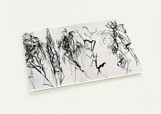 ffebf4b8-14cb-4e5b-83c1-fcf3cffbc091